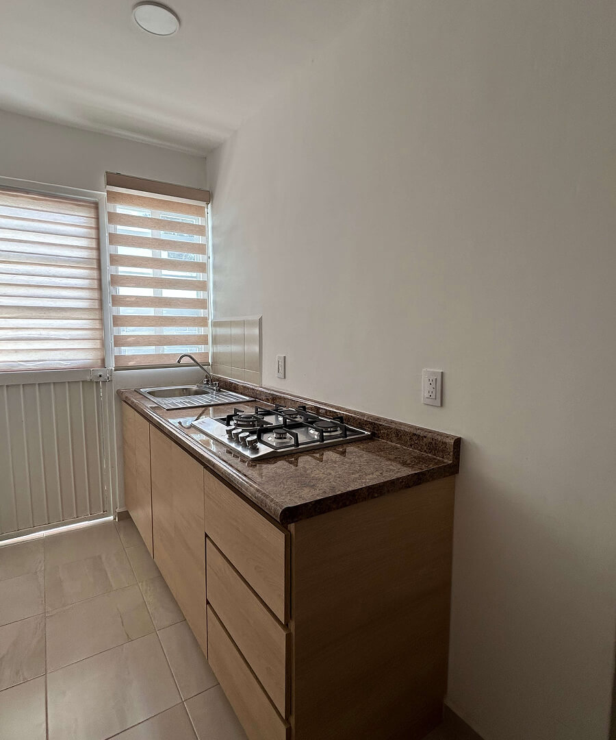 vista vertical de cocina de casa modelo napa en desarrollo residencial paseos de los viñedos en el estado de Aguascalientes Mexico del desarrollo inmobiliario frindsa